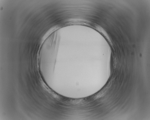 X0000066101386200604071811