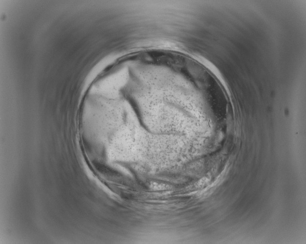 X0000066101389200604071811