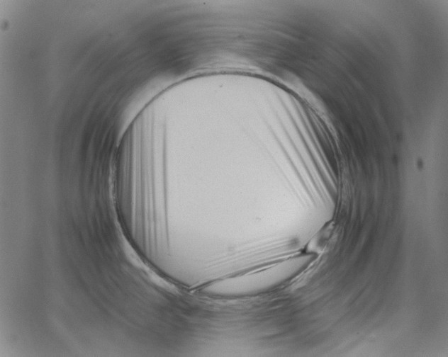 X0000066101390200604071811