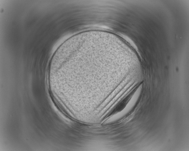 X0000066101391200604071811