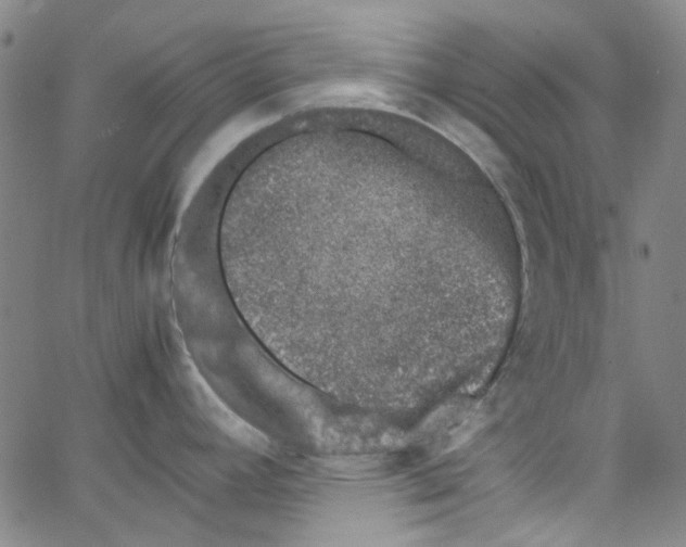 X0000066101392200604071811