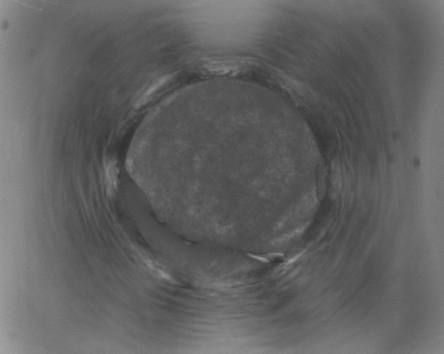 X0000066101394200604071810