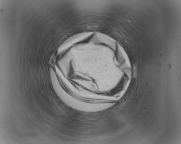 X0000066101395200604071810