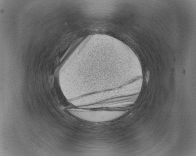 X0000066101396200604071810