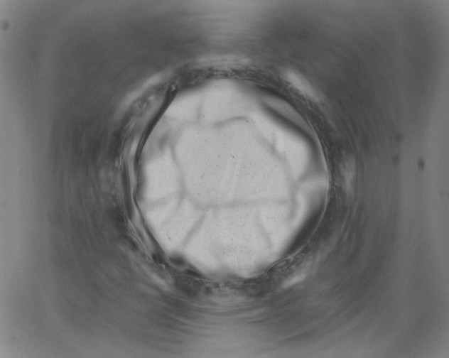 X0000066101398200604071810