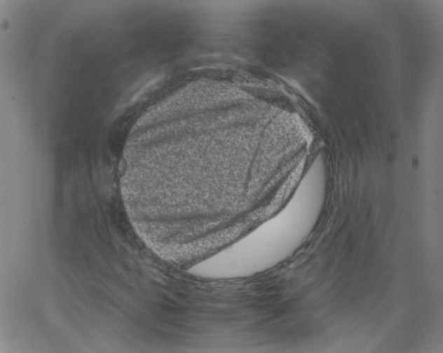 X0000066101399200604071810