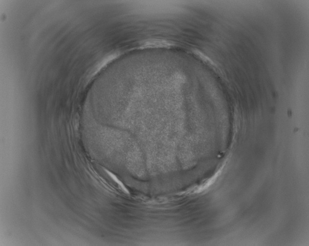 X0000066101401200604071811