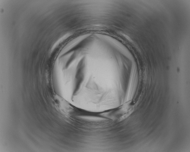 X0000066101402200604071811