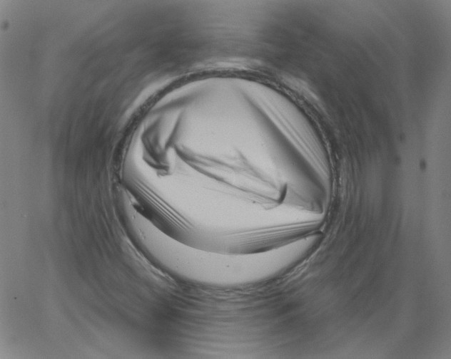 X0000066101404200604071811