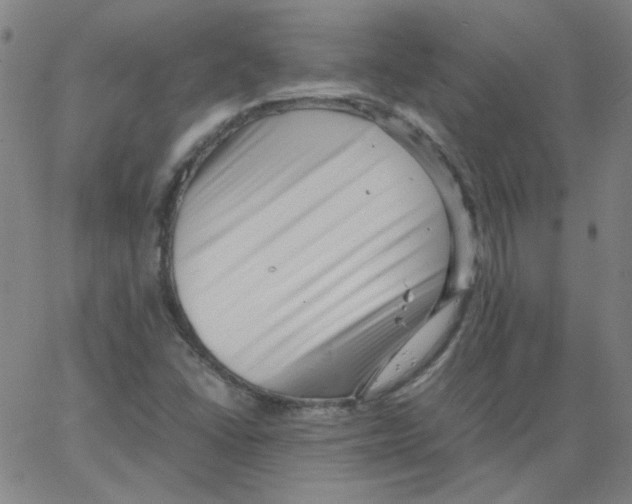 X0000066101406200604071811