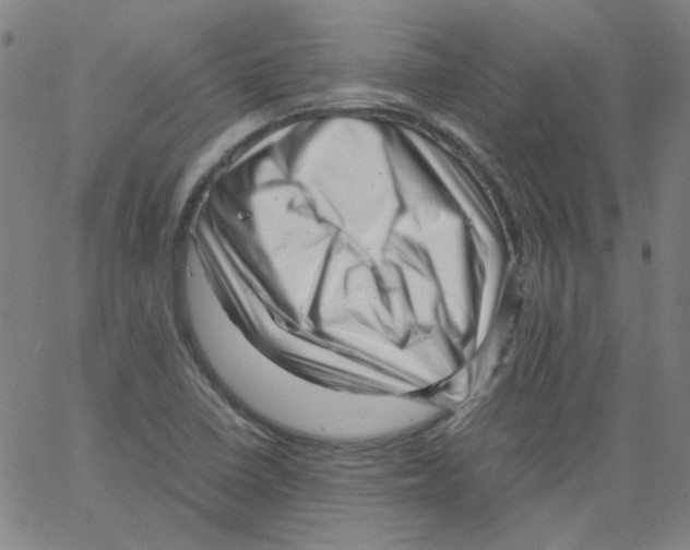 X0000066101410200604071811