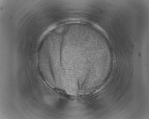 X0000066101411200604071811