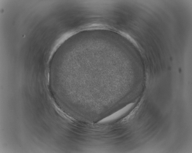 X0000066101413200604071811