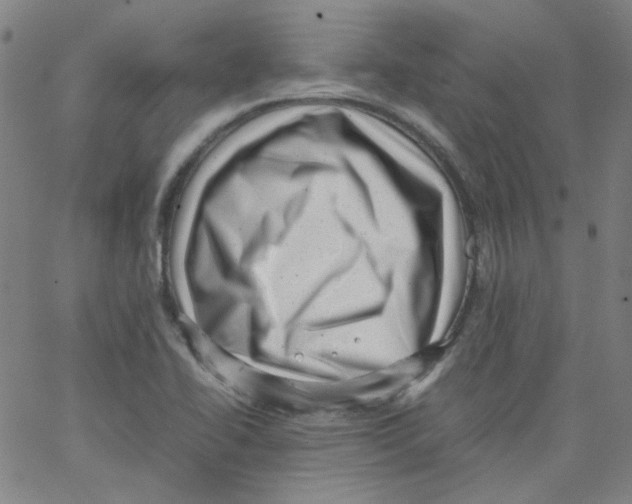 X0000066101414200604071811