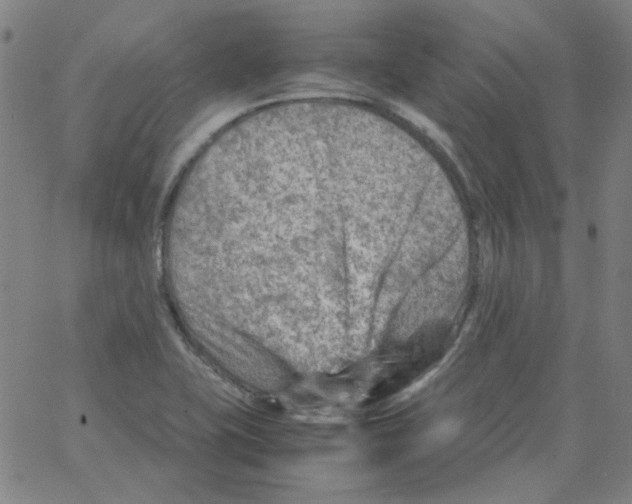 X0000066101415200604071811