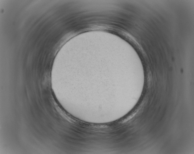 X0000066101417200604071811