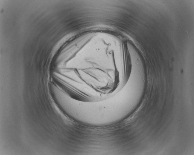 X0000066101418200604071811