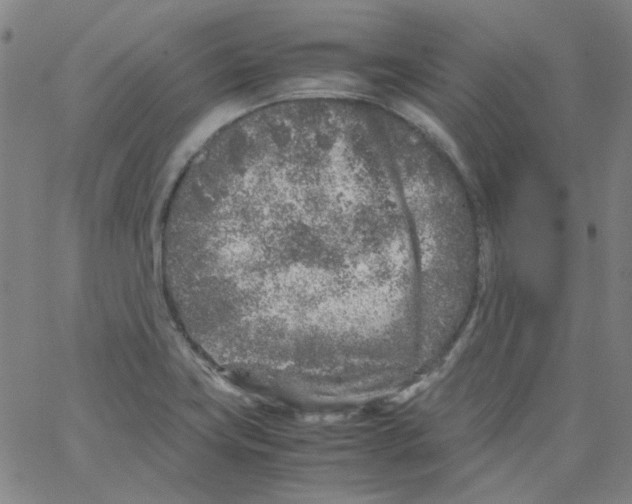 X0000066101419200604071811