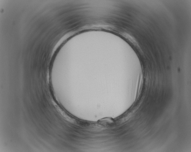 X0000066101420200604071811