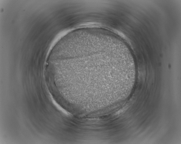 X0000066101421200604071811