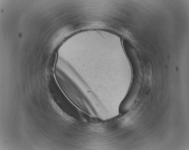 X0000066101422200604071811