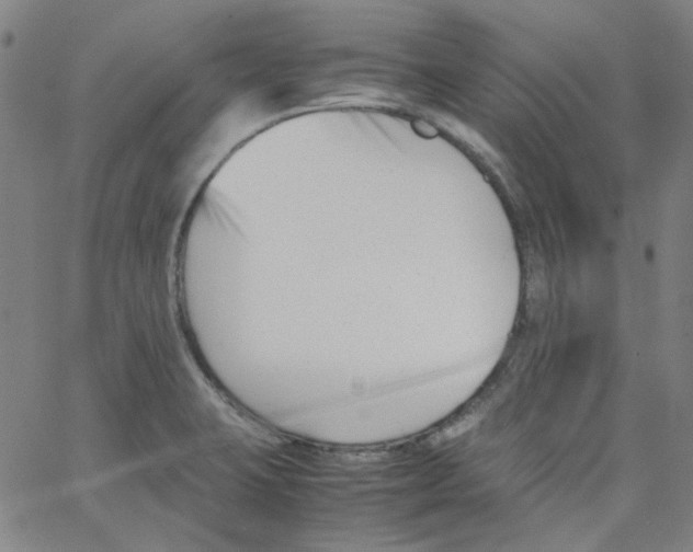 X0000066101423200604071811