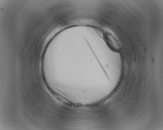 X0000066101424200604071811