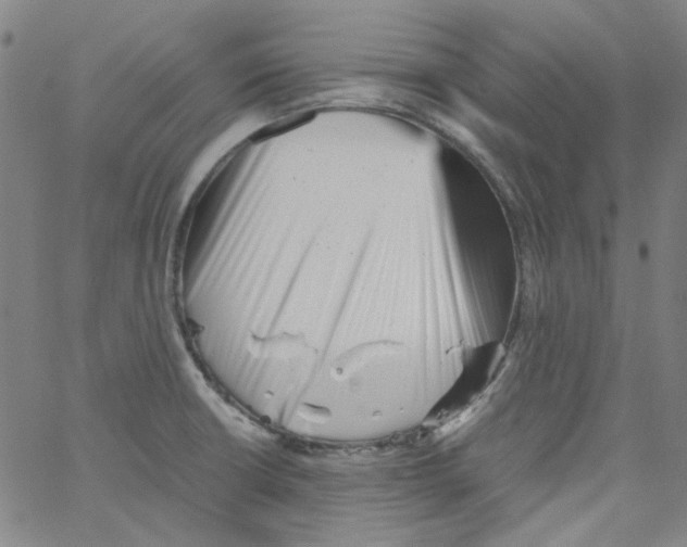 X0000066101426200604071811