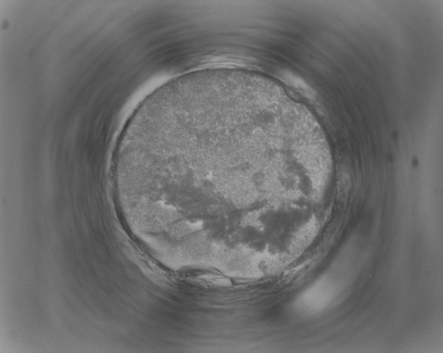 X0000066101427200604071811