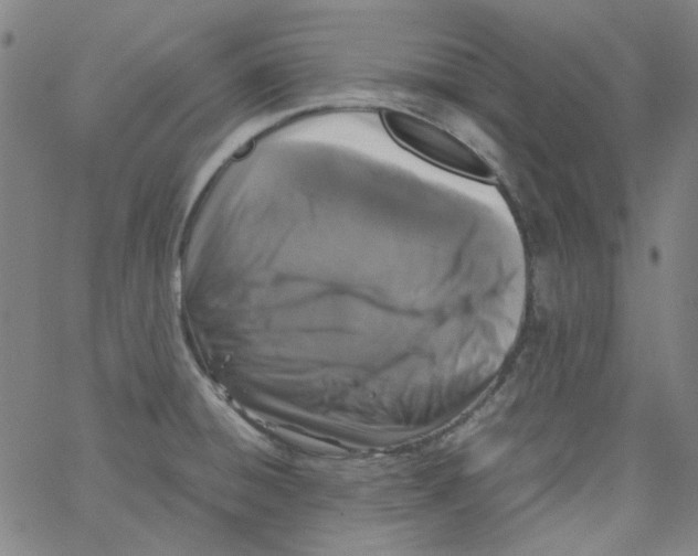 X0000066101428200604071811