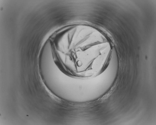 X0000066101430200604071811