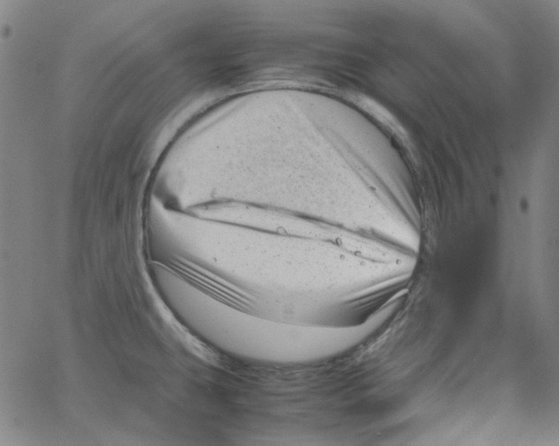 X0000066101431200604071811