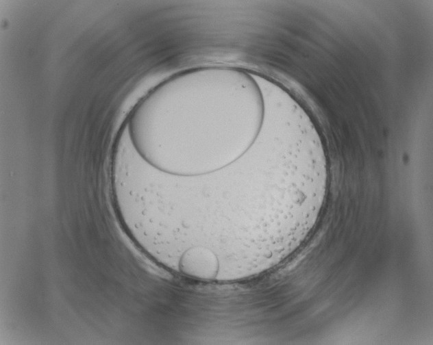 X0000066101432200604071811