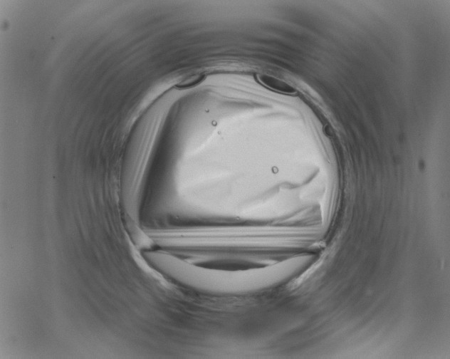 X0000066101433200604071811