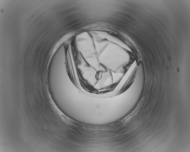 X0000066101434200604071811