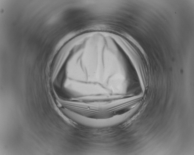 X0000066101437200604071811