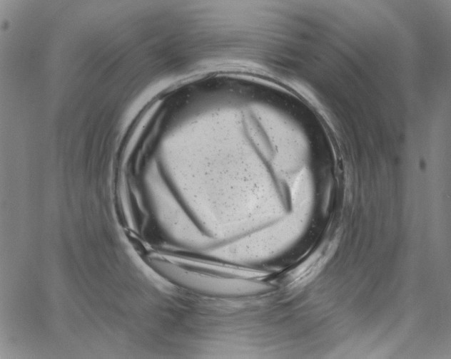 X0000066101438200604071811