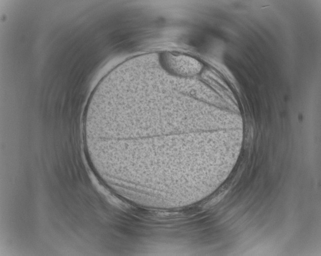 X0000066101439200604071811