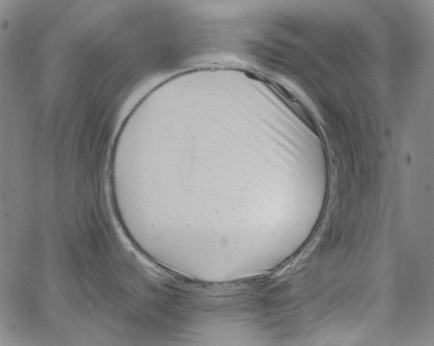 X0000066101440200604071811