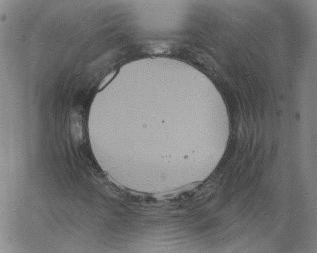 X0000066101442200604071810