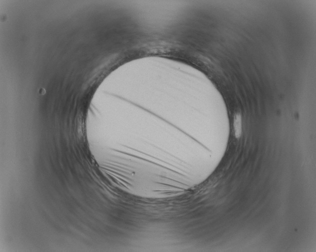 X0000066101444200604071810