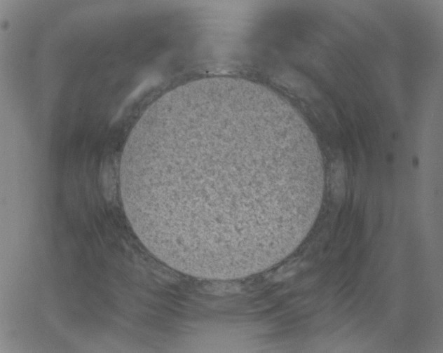 X0000066101446200604071810