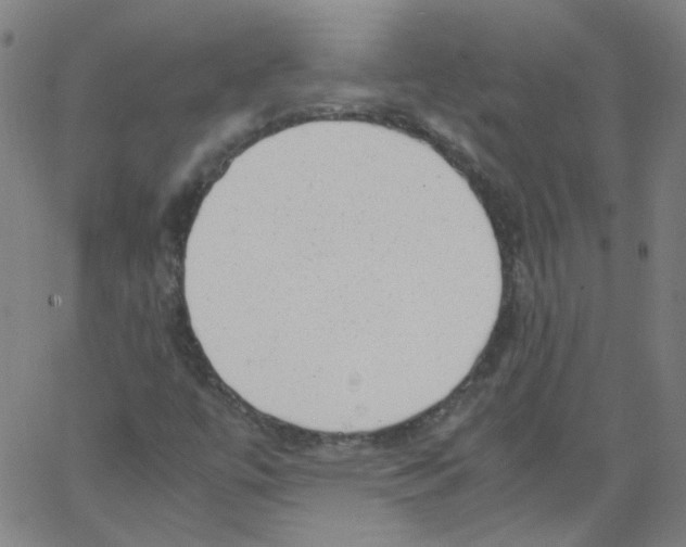 X0000066101447200604071810