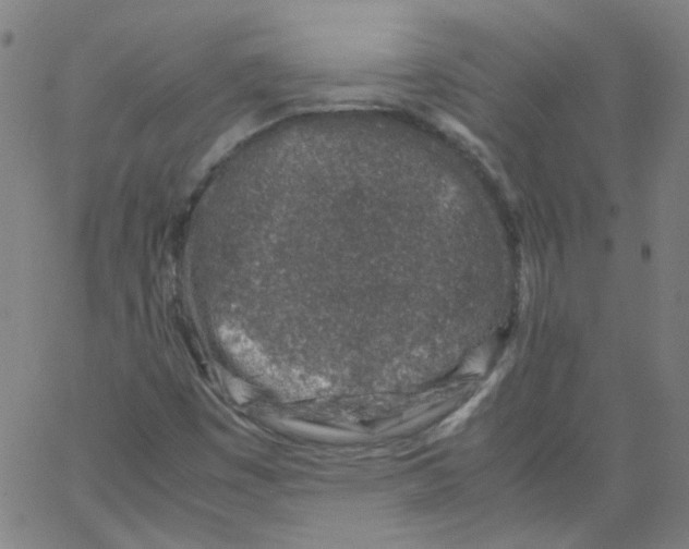 X0000066101449200604071810