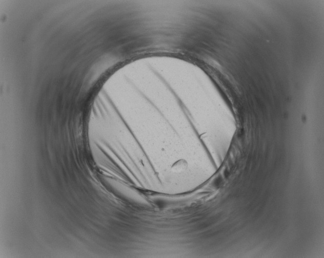 X0000066101450200604071810