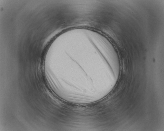 X0000066101452200604071810