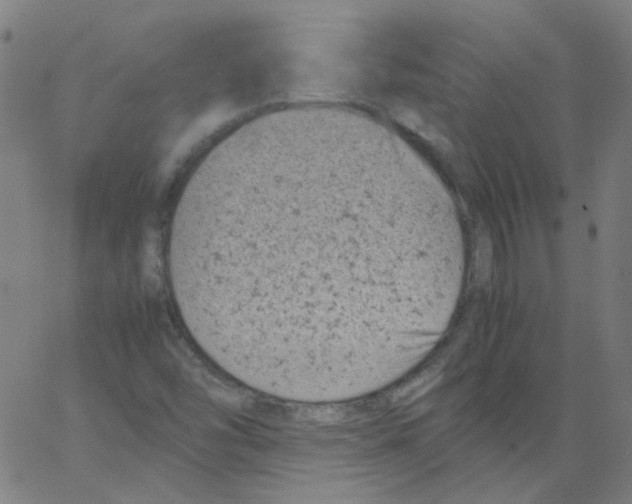 X0000066101454200604071810