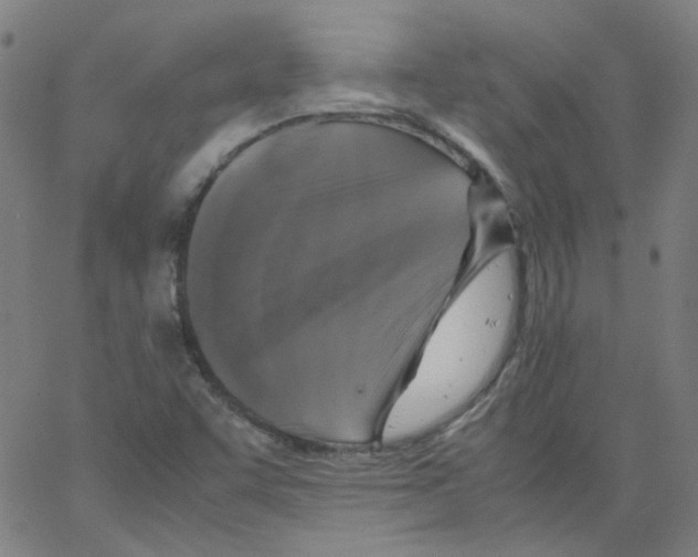 X0000066101455200604071810