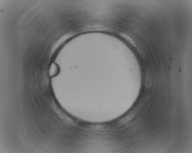 X0000066101458200604071810