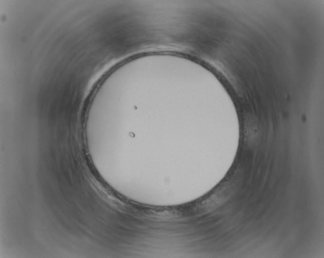 X0000066101460200604071810